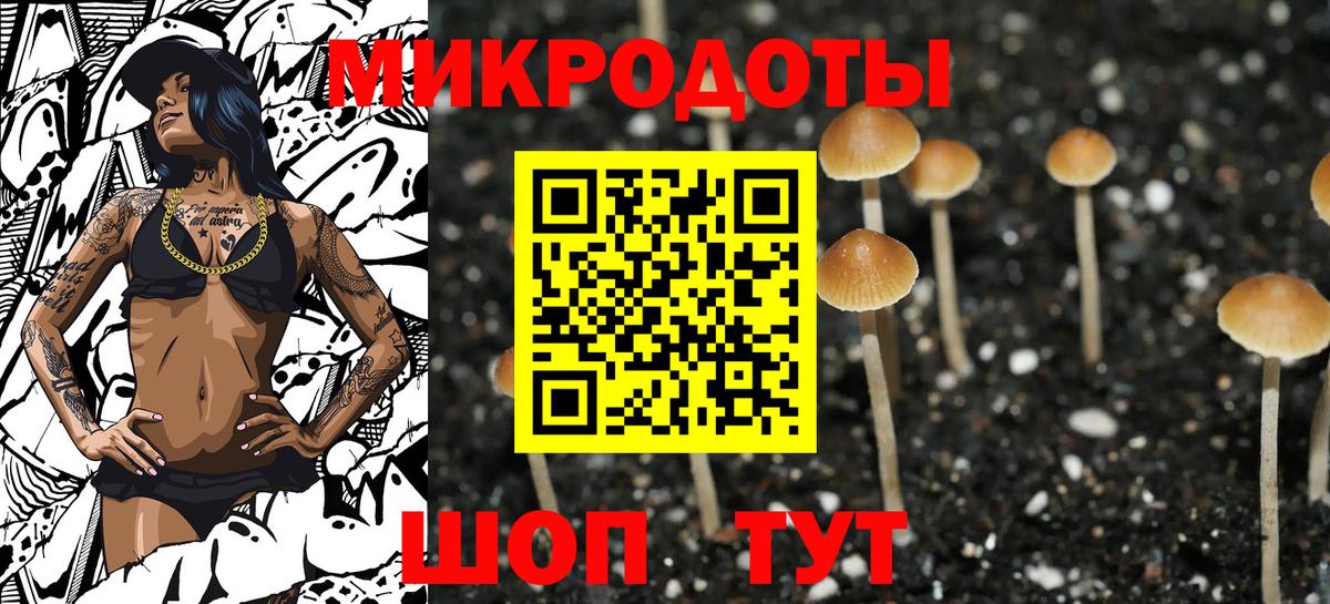 Псилоцибиновые грибы Psilocybe  Вход с VPN  Богородск 